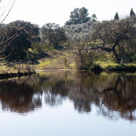 Casa Cortijo En Dehesa Sierra Leon Villa La Puebla de los Infantes Bagian luar foto