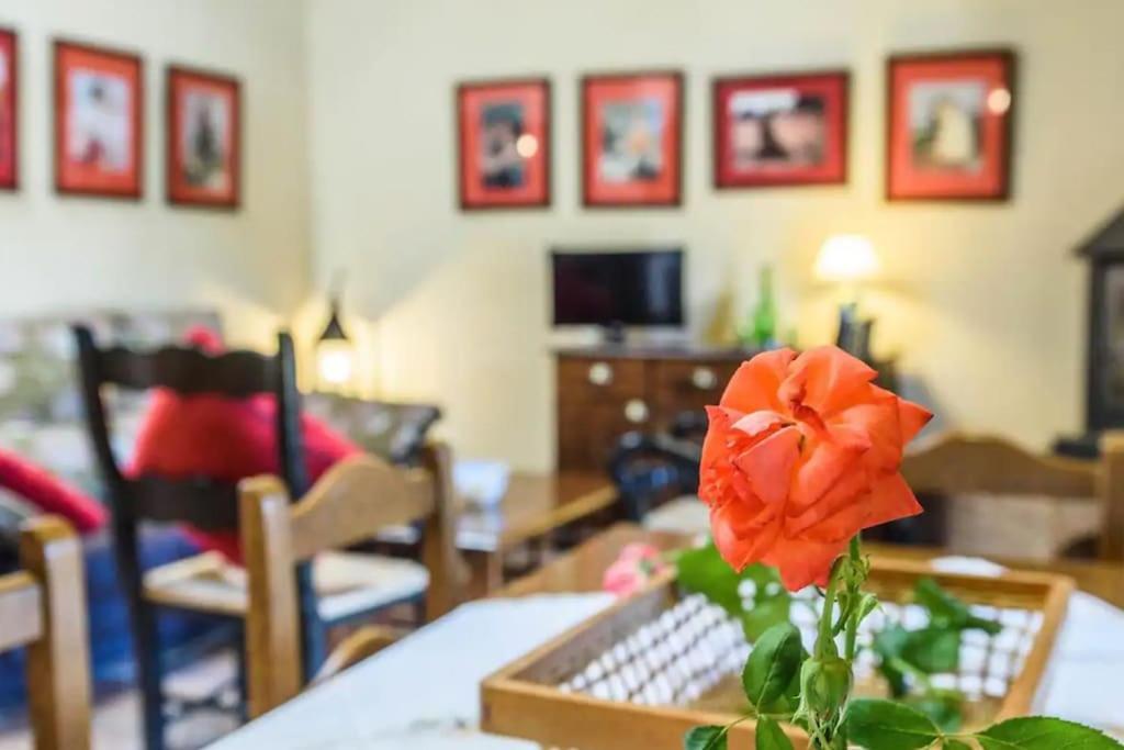 Casa Cortijo En Dehesa Sierra Leon Villa La Puebla de los Infantes Bagian luar foto